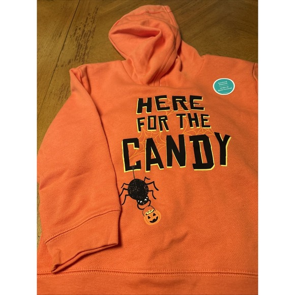 Carter's Baby Boy Pumpkin Outfit Size 4T. NWT!‎ 2 Pieces Set, Casual, Halloween - Picture 2 of 8